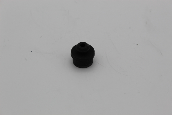48145_1.jpg