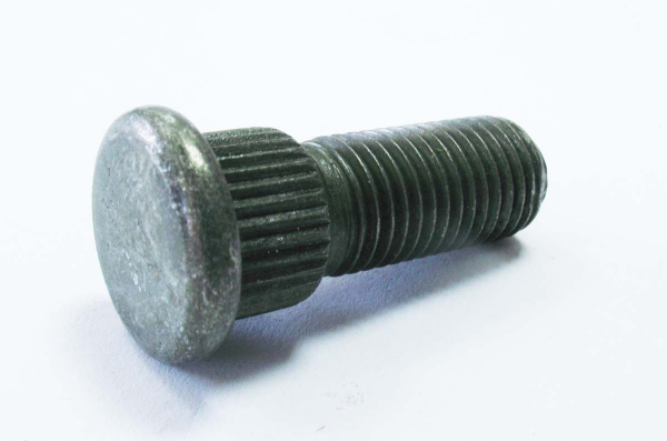 LU026729.jpg
