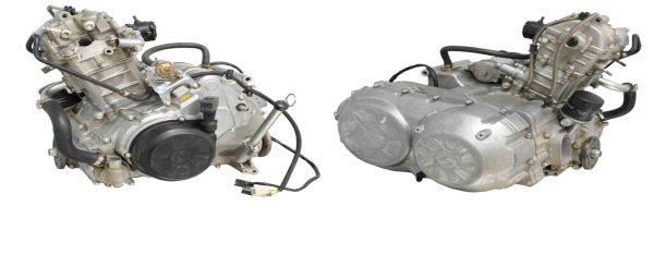 MotorSTELS600Leopard_1.png