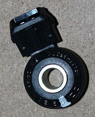 372_1002060.jpg